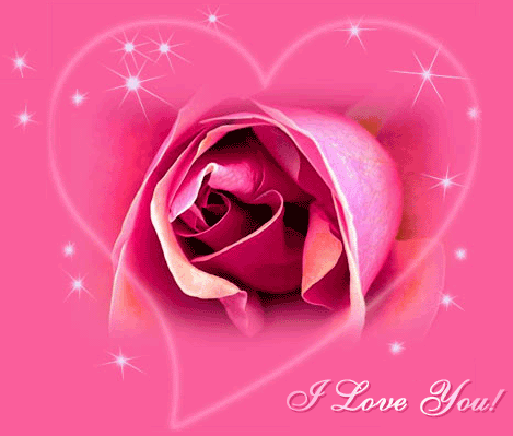 L   AMOUR